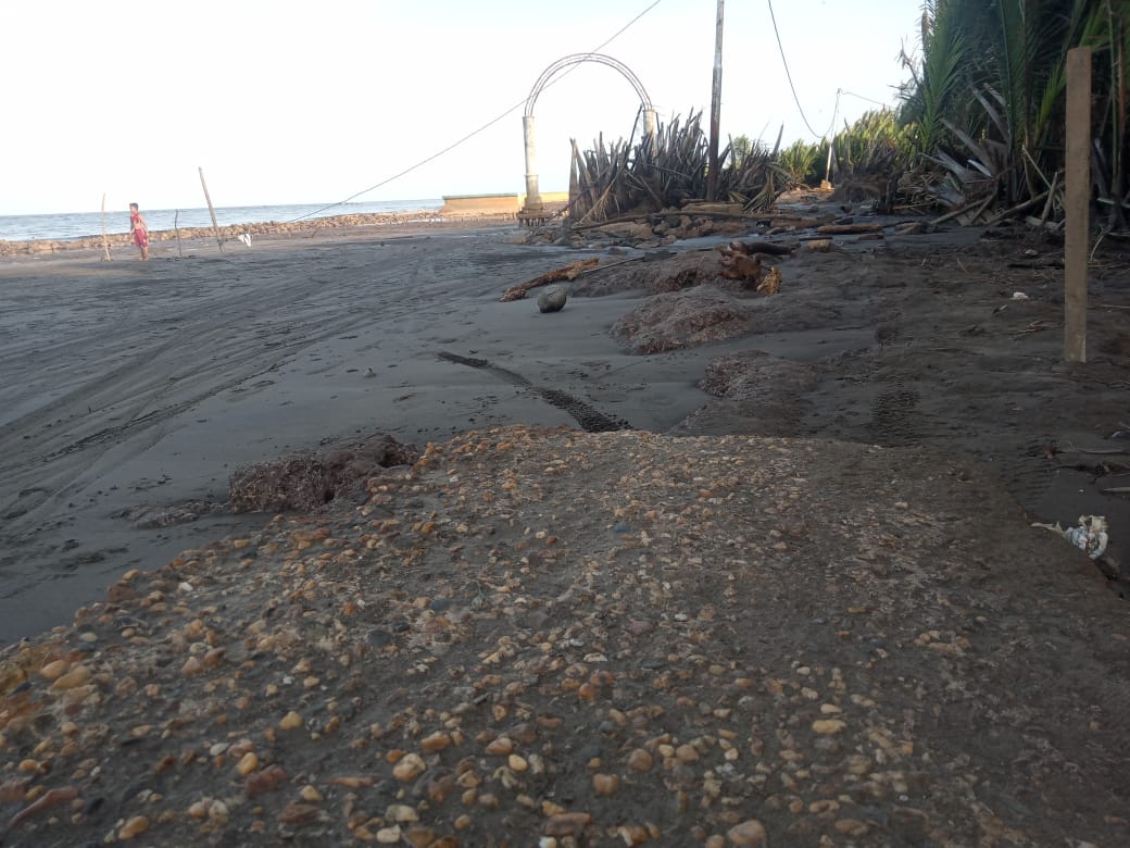 IMG-20210122-WA0001